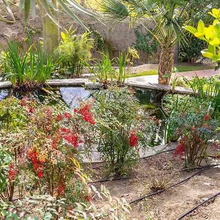 Rabat 2 Oasis 公寓 内尔哈
