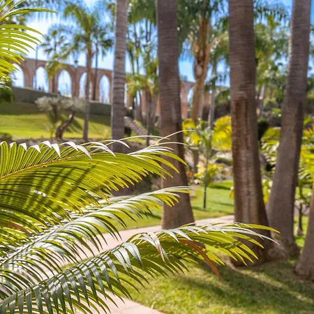 Rabat 2 Oasis * نيرخا